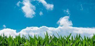 Organic movement welcomes the European Green Deal’s ambition Organic movement welcomes the European Green Deal’s ambition