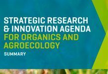 TP Organics revela nuevas líneas de investigación e innovación del movimiento ecológico TP Organics lanza nuevas líneas de investigación e innovación del movimiento ecológico