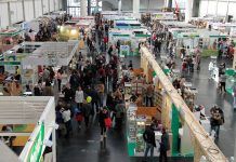 BioCultura A Coruña 2020: Descubre los vinos ecológicos gallegos BioCultura A Coruña 2020: Descubre los vinos ecológicos gallegos