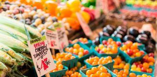 Organic market worldwide: observed trends in the last few years Organic market worldwide: observed trends in the last few years