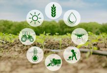 Prospects for the Common Agricultural Policy 2021 – 2027: Why the CAP needs a radical reform Prospects for the Common Agricultural Policy 2021 – 2027