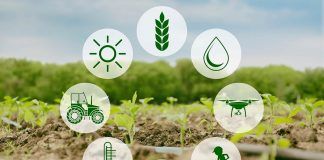 Prospects for the Common Agricultural Policy 2021 – 2027: Why the CAP needs a radical reform Prospects for the Common Agricultural Policy 2021 – 2027