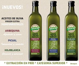 Banner aceites