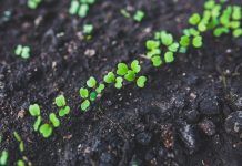 Global organic area continues to grow: Over 71,5 million hectares of farmland are organic Las tierras de cultivo ecológico se sitúan en más de 71,5 millones de hectáreas