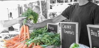 European organic market grew to 40.7 billion euros in 2018 El mercado ecológico europeo alcanza los 40.700 millones de euros en 2018