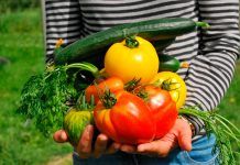 La agricultura ecológica duplica su superficie en Castellón en cinco años La agricultura ecológica duplica su superficie en Castellón en cinco años