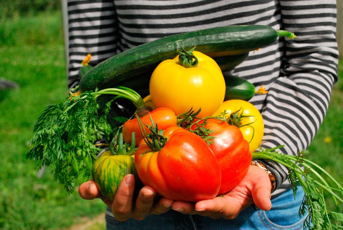 La agricultura ecológica duplica su superficie en Castellón en cinco años