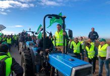 ¿Por qué protestan los agricultores y ganaderos españoles? ¿Por qué protestan los agricultores y ganadores españoles?
