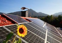 Pacte Verd Europeu: aposta pel clima i el medi ambient Pacte Verd Europeu: aposta pel clima i el medi ambient