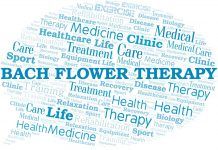 Terapia Floral, más que remedios: una vía hacia el desarrollo interior Terapia Floral, más que remedios: una vía hacia el desarrollo interior