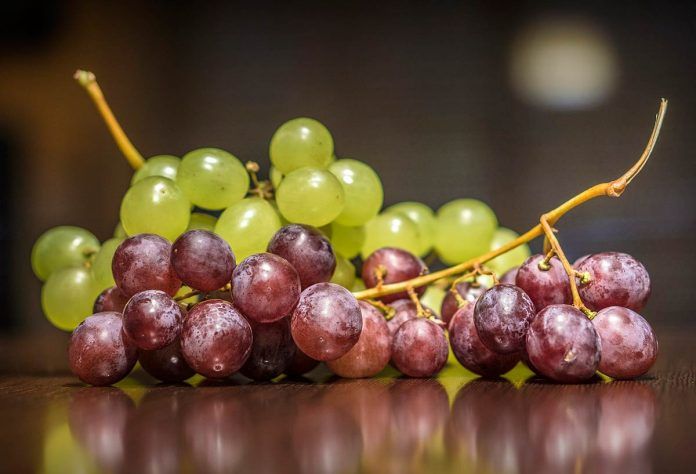 Uvas_Ok La uva, la fruta con más restos de pesticidas