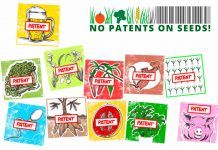 ¿Por qué Europa necesita prohibir las patentes de plantas alimenticias y animales de granja? ¿Por qué Europa necesita prohibir las patentes de plantas alimenticias y animales de granja?