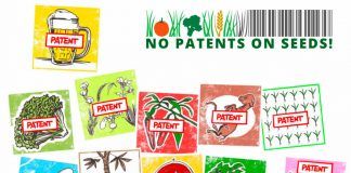 Eleven reasons why Europe needs to ban patents on food plants and farm animals Eleven reasons why Europe needs to ban patents on food plants and farm animals