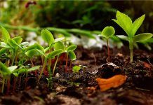 IFOAM EU calls for a target of 20% organic land by 2030 Organic movement calls for a target of 20% organic land by 2030 in the EU