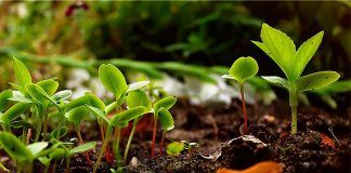 IFOAM EU calls for a target of 20% organic land by 2030 Organic movement calls for a target of 20% organic land by 2030 in the EU