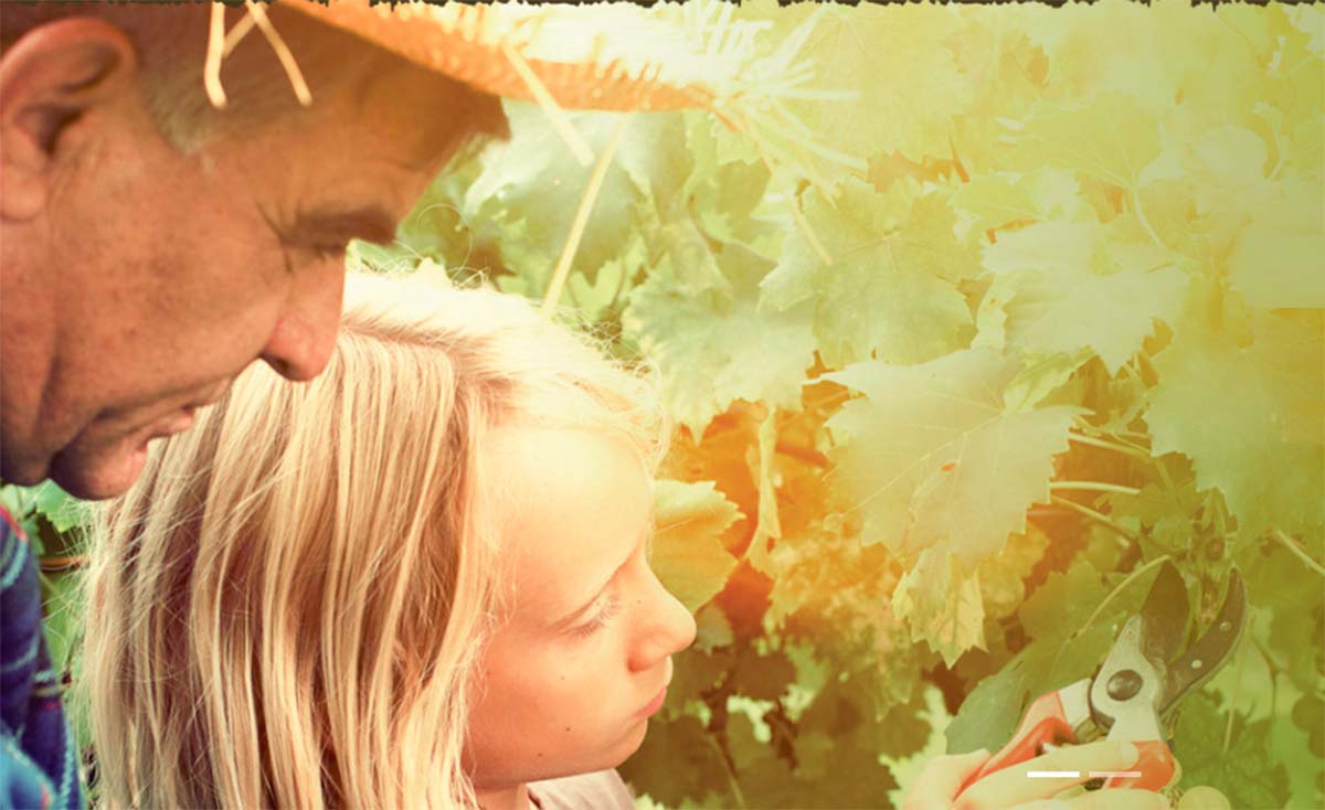 Organic-World-Congress