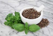 Tulsi, la albahaca sagrada Tulsi, la albahaca sagrada