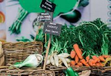 Plant-based and CBD set the pace for UK natural products sector Plant-based and CBD set the pace for UK natural products sector