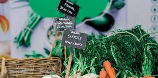 Plant-based and CBD set the pace for UK natural products sector Plant-based and CBD set the pace for UK natural products sector