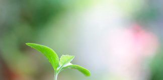 EU: 25% of agriculture must be organic by 2030 European Union: 25% of agriculture in the EU must be ecological by 2030