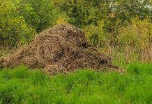 El necesario proceso detox de nuestros suelos de cultivo (ll) El necesario proceso detox de nuestros suelos de cultivo (ll)