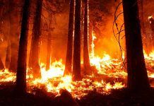 España: menos incendios pero más catastróficos España: menos incendios pero más catastróficos