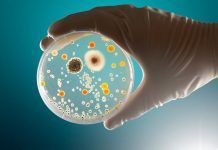 La salut del futur: integral, integrativa, preventiva i ecològica La salut del futur: integral, integrativa, preventiva i ecològica