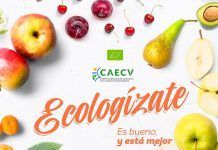 Comunidad Valenciana: el 18,2% de su superficie agraria es de producción ecológica ecologízate caecv