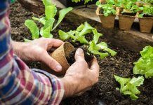 Jornada per a l’alimentació ecològica i de proximitat a les cases de colònies i albergs de Catalunya