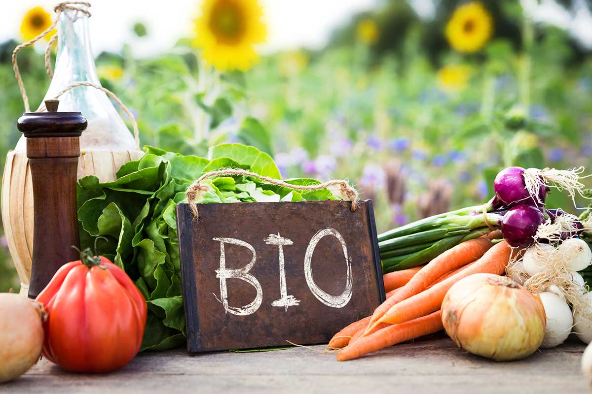 Més-del-60%-de-la-població-catalana-consumeix-productes-ecològics