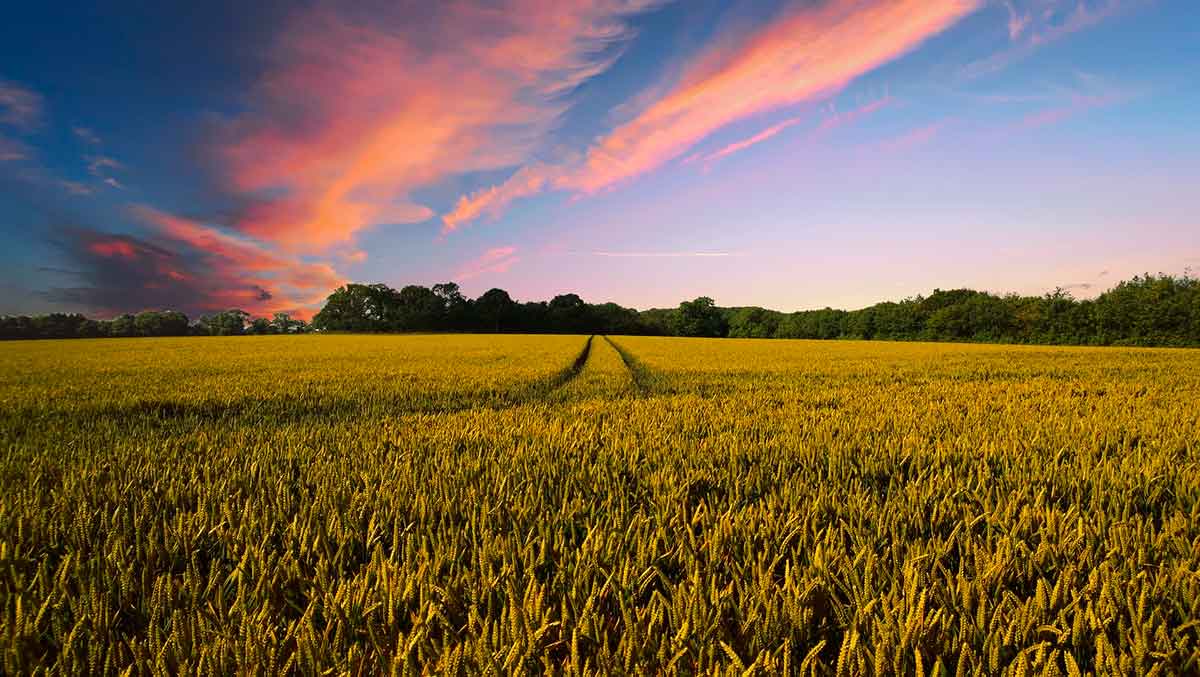 On-the-way-to-a-harmonized-approach-for-residue-handling-in-the-EU