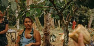 The Bittersweet Life of an Organic Cacao Farmer in Samoa The Bittersweet Life of an Organic Cacao Farmer in Samoa