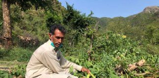 Muhammad Riaz: Why Compost is my Kind of Gold! Muhammad Riaz: Why Compost is my Kind of Gold!