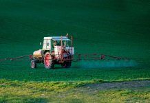 Una dieta basada en productes eco pot reduir els pesticides que tens al teu cos Una dieta basada en productes ecològics pot reduir els pesticides que hi ha al teu cos