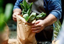Catalunya consolida el seu lideratge estatal en la producció ecològica Catalunya consolida el seu lideratge estatal en la producció ecològica