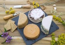 Delicias veganas que enriquecen tu dieta queso vegano