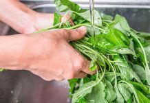 Infecciones alimentarias seguretat alimentaria