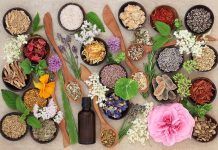 La Yemoterapia concentrada y el poder sinérgico de las plantas La Yemoterapia concentrada y el poder sinérgico de las plantas
