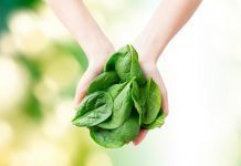 “Forget the CAP: It’s the market that will drive organic forward!” CAP