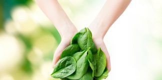 “Forget the CAP: It’s the market that will drive organic forward!” CAP