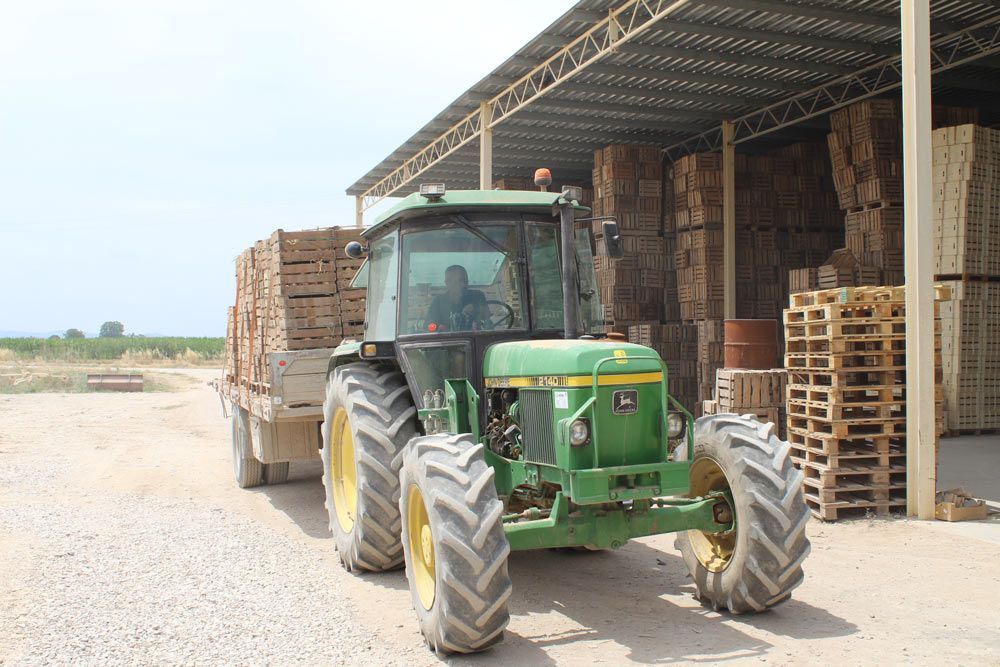 Agricultura ecológica y convencional