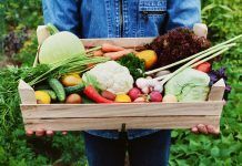 Estados Unidos: Lo ecológico saldrá más fuerte que nunca de la pandemia lo ecológico es el futuro tras la pandemia