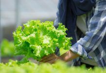 “¿Te lo vas a comer?”: la respuesta del sector bio