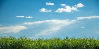 The Directory of Organic Certifiers is Live