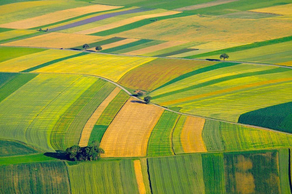 farm-to-fork-strategy