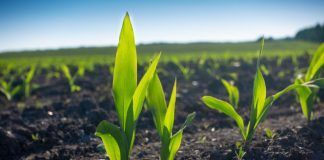MEP Sarah Wiener: “Our children will have to live as Cyborgs if we don’t bring food and farming back to nature”