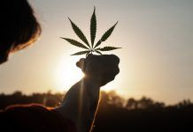 UN commission reclassifies cannabis, no longer considered risky narcotic