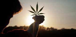 UN commission reclassifies cannabis, no longer considered risky narcotic