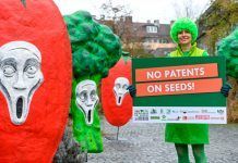 Still no solution for prohibiting patents on plants and animals