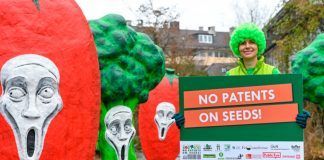 Still no solution for prohibiting patents on plants and animals